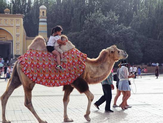 微信图片_20190815024010